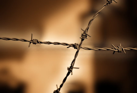 barbed wire