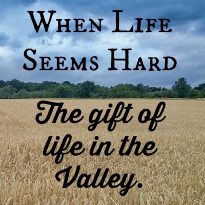 Life happens. And sometimes it feels like we are stuck in the valley. But the soil is fertile there, friends. There is so much growth there if we are brave enough to lean in and face it.