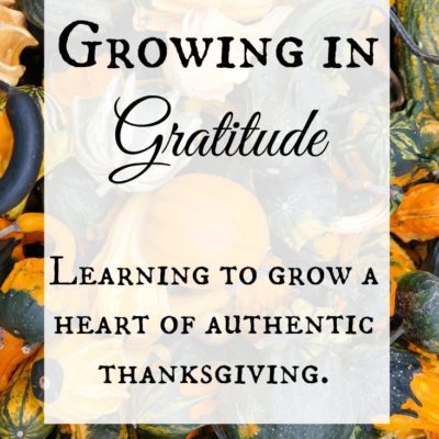 Authentic Thanksgiving is a choice. Gratitude takes effort. May we have eyes that see and a heart that truly appreciates all we have to be grateful for.