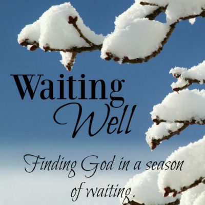 Waiting is hard. Waiting well is even harder. This is the hope and truth you need when you find yourself in a season of waiting.