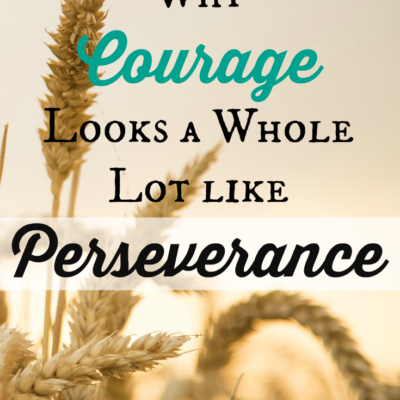 The truth is, bravery and courage aren't always flashy. They aren't always exciting. Sometimes they are just gutting it out when life is hard. Sometimes courage looks a whole lot like Perseverance.