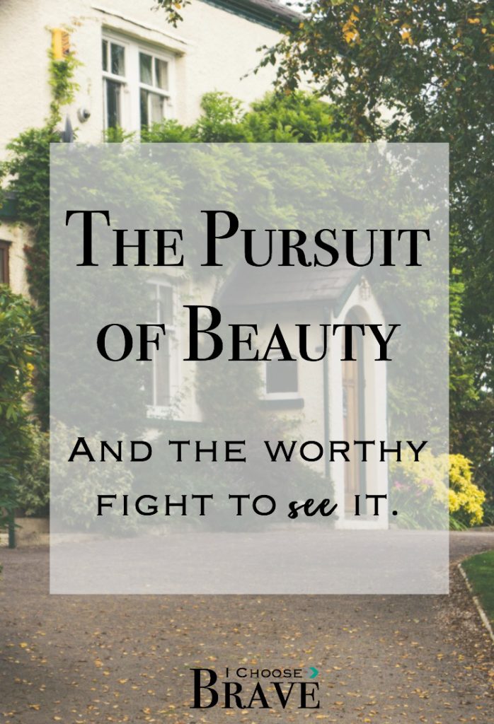 Pursuit of beauty