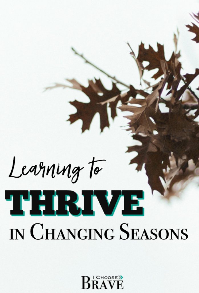 To every there is a season. We know that. But sometimes the changing seasons - the seasons of the year and the seasons of life - overwhelm us. There is a key to thriving amidst changing seasons and if we don't stay focused, we might just miss it.